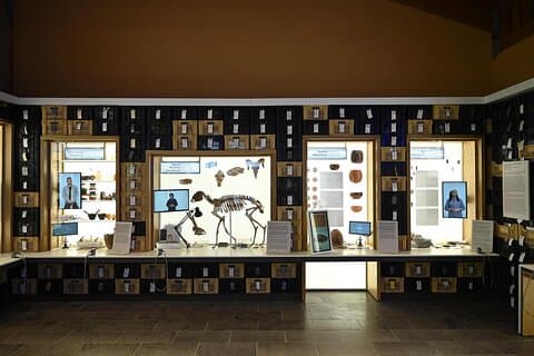 Catalhoyuk Archaeological Excavation Site and Virtual Museum 3