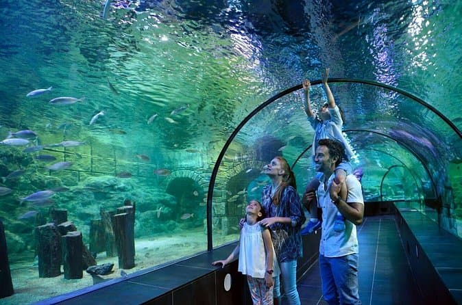 Istanbul Aquarium and Shopping Tour with Hotel Transfers 2