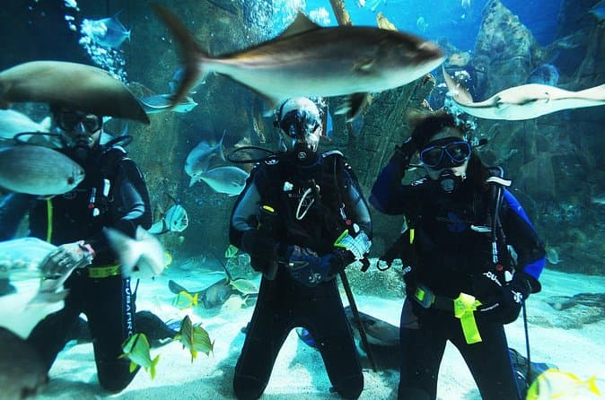 Istanbul Aquarium and Shopping Tour with Hotel Transfers 1