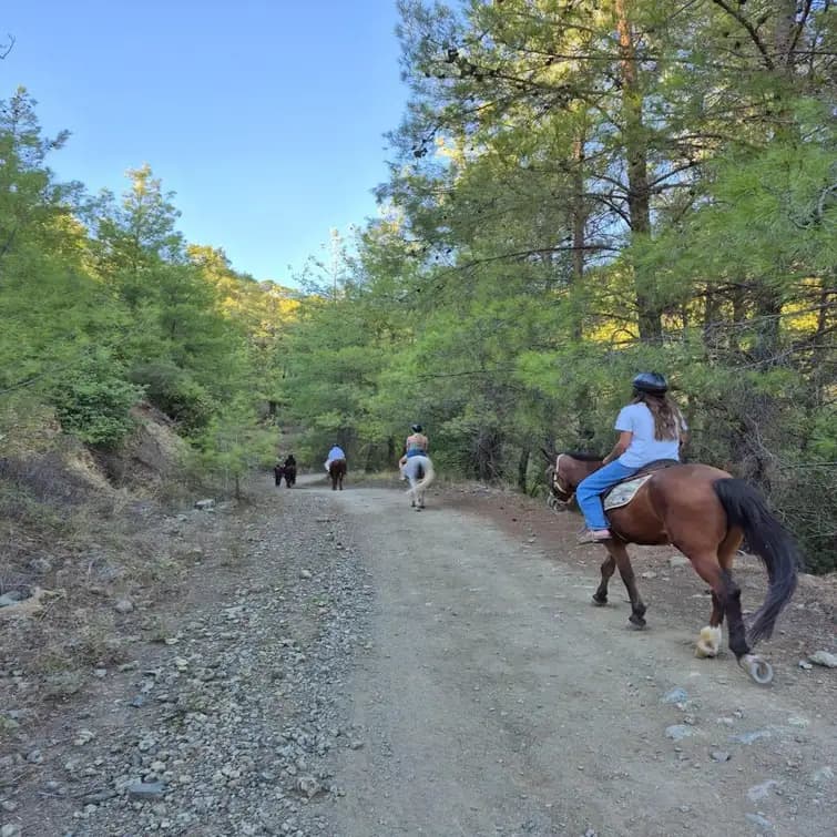 Scenic Horseback Riding Tour with Pickup 1