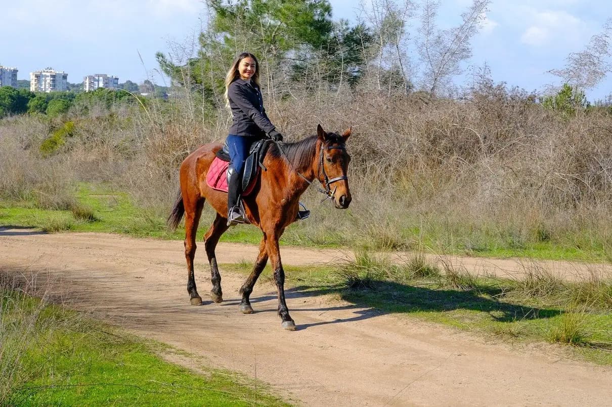 Antalya/Belek: Horseback Riding Through Sandy Forest & Beach 1