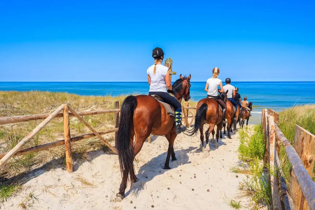 Alanya: Horse Riding Tour with Hotel Transfers 3
