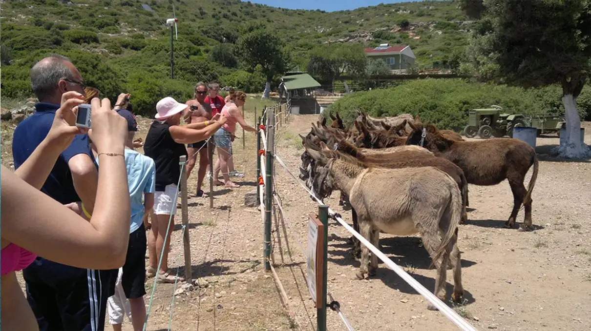 Izmir: Full Day Boat Trip around Cesme with BBQ Lunch 3