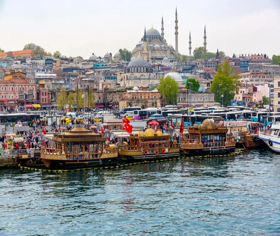Istanbul: Luxury Istanbul Old City Private Day Tour