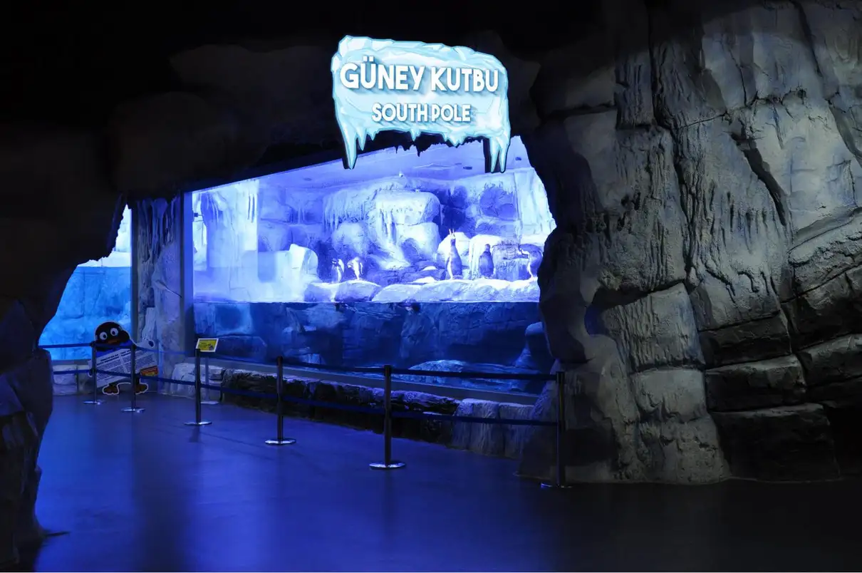 Istanbul: Aquarium Entry Ticket with Group Hotel Transfer 4