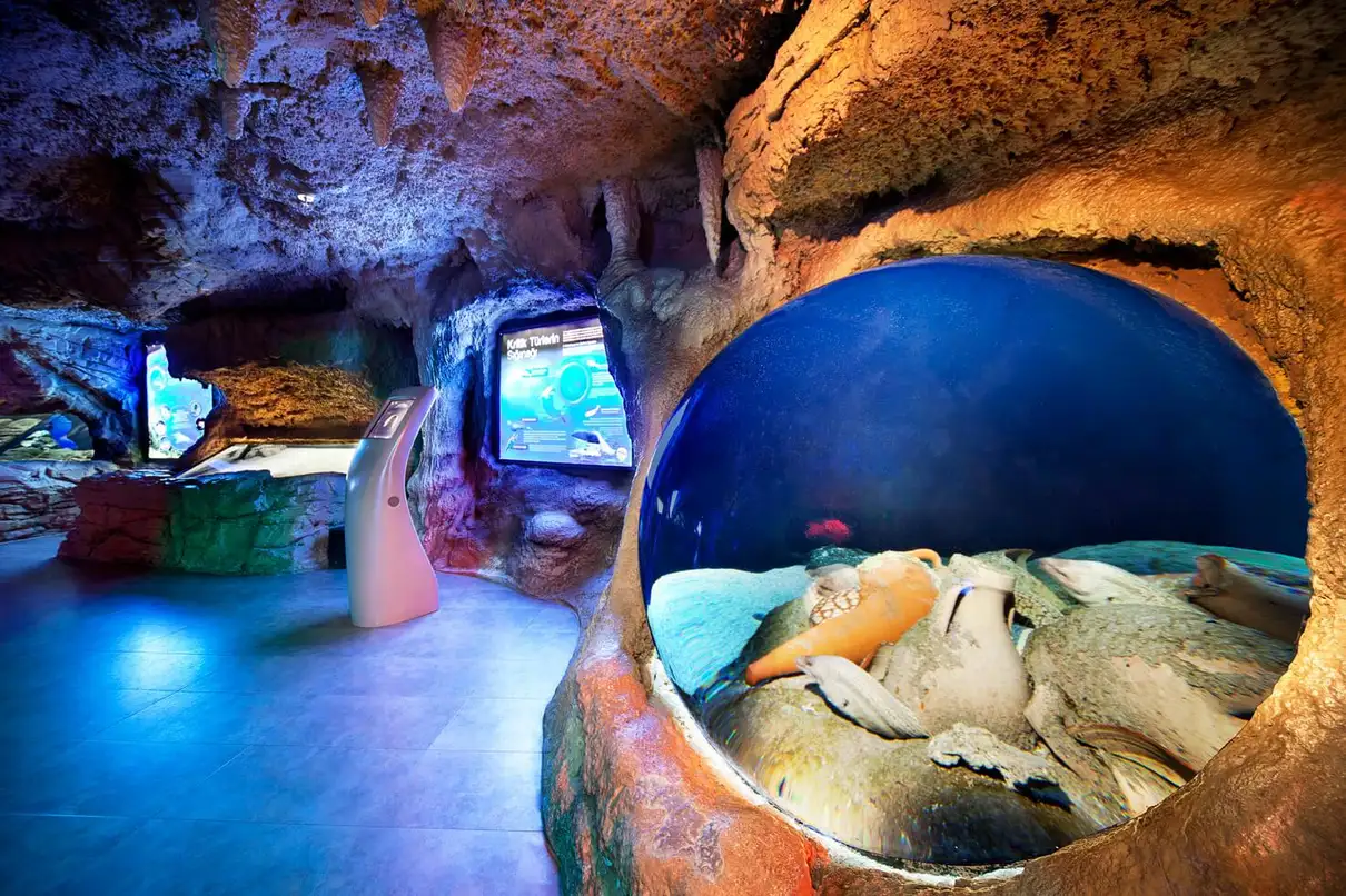 Istanbul: Aquarium Entry Ticket with Group Hotel Transfer 1