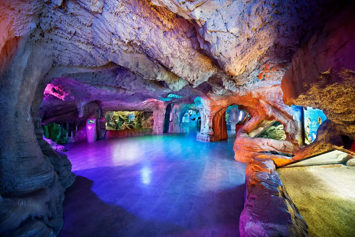 Istanbul: Aquarium Entry Ticket with Group Hotel Transfer 3