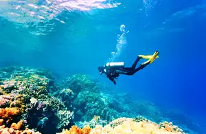 Marmaris Scuba Diving Experience with 2 Dives and Lunch 2
