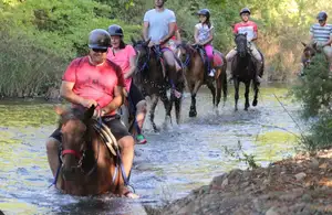 Marmaris Horse Riding Experience with Hotel Transfers 3
