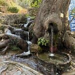 Jeep Safari Tour to Saklikent, Tlos and Yakapark from Fethiye 2